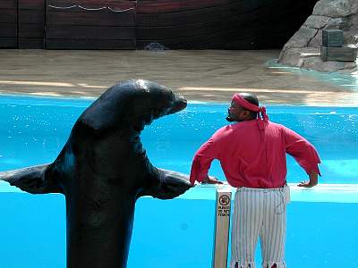 disney_2000_122_Disney2000 Sea World 30 May310.JPG